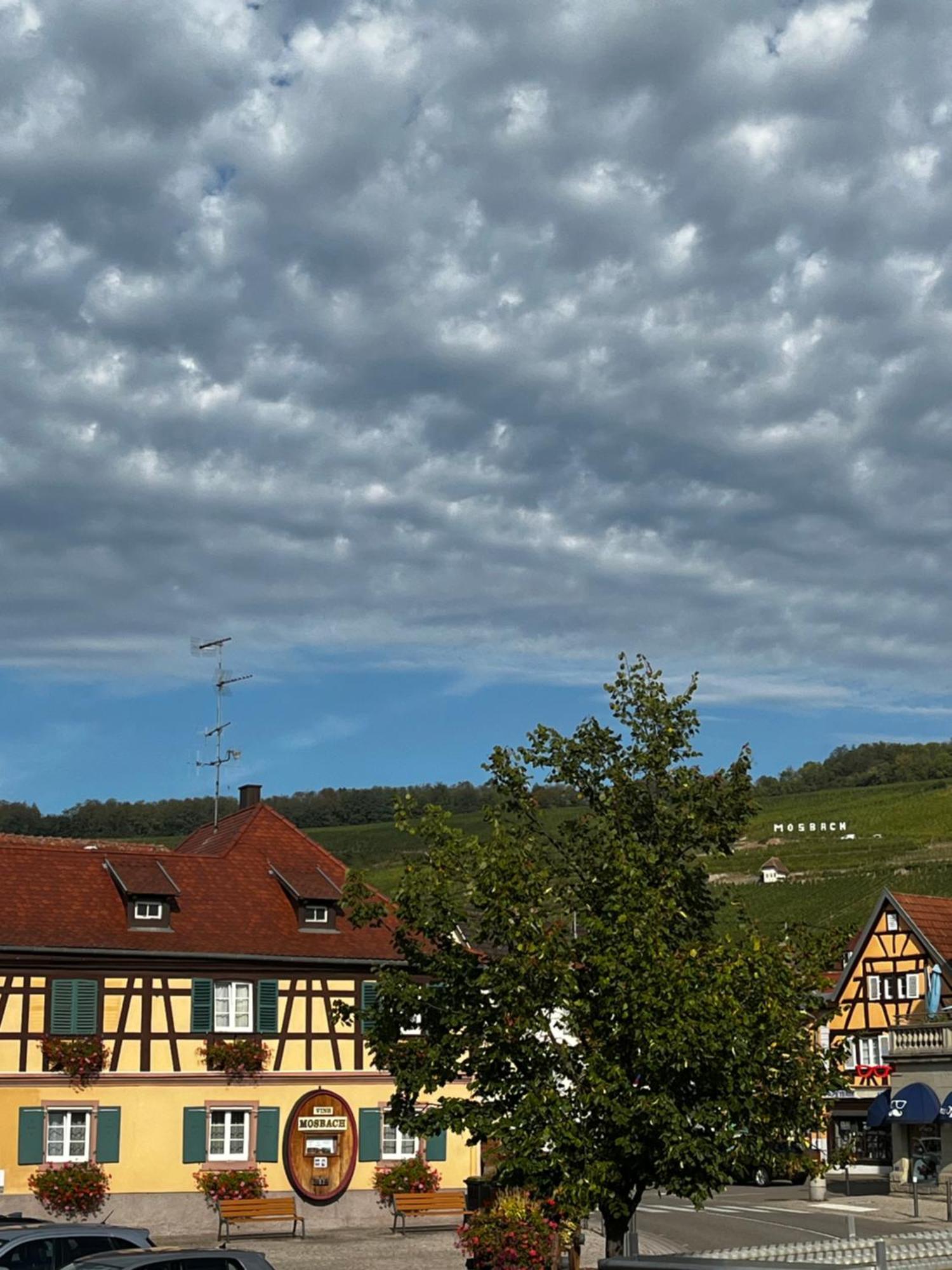 Les Chambres Du Marlenberg มาร์เลินไฮม์ ภายนอก รูปภาพ